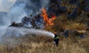 Firefighter in protective gear battles intense flames in a burning forest near Limassol, Cyprus, during the July 2025 wildfire. Thick smoke rises as scorched trees collapse in the background, highlighting the severity of the Mediterranean fire season.